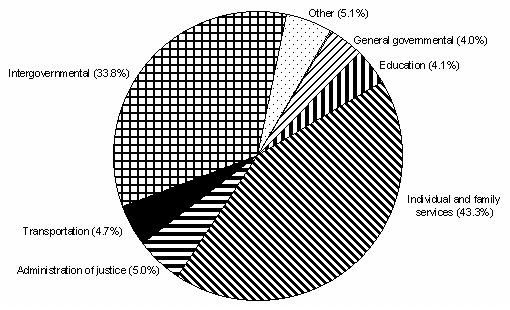 FY 93 Expenditure Pie Chart