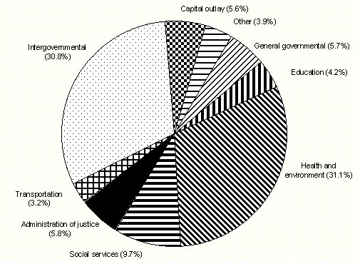 FY 94 Expenditure Pie Chart