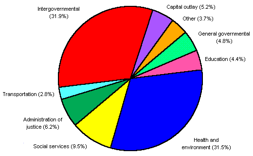 FY 95 Expenditure Pie Chart