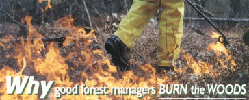 Why Burn the Woods?