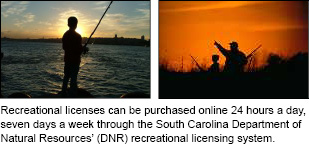 Recreational licenses can be purchased online 24 hours a day, seven days a week through the South Carolina Department of Natural Resources’ (DNR) recreational licensing system.